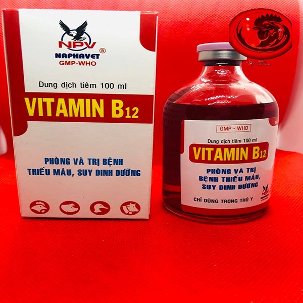 Vitamin tổng hợp cho gà với Vitamin B12